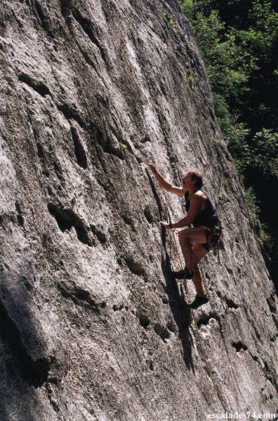 20X Prises d'escalade Rocher d'escalade Pierres de bloc Coloré Prises d' escalade d'arbre