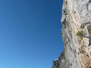 Anterne : D'jin Fizz (L5 : 7b) - Photo Nicolas Potard ©